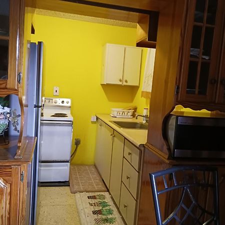 Chelsea Manor Apartman Kingston Kültér fotó